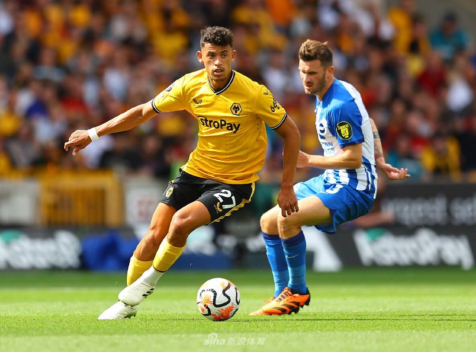 应变能力 应变能力